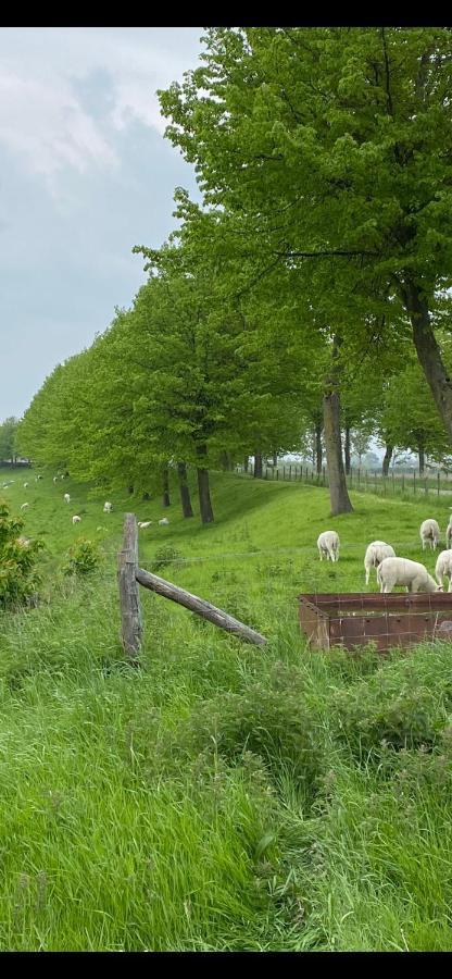 Bungalow Scheldezicht In Zeeland Dicht Bij Zee Scherpenisse Extérieur photo