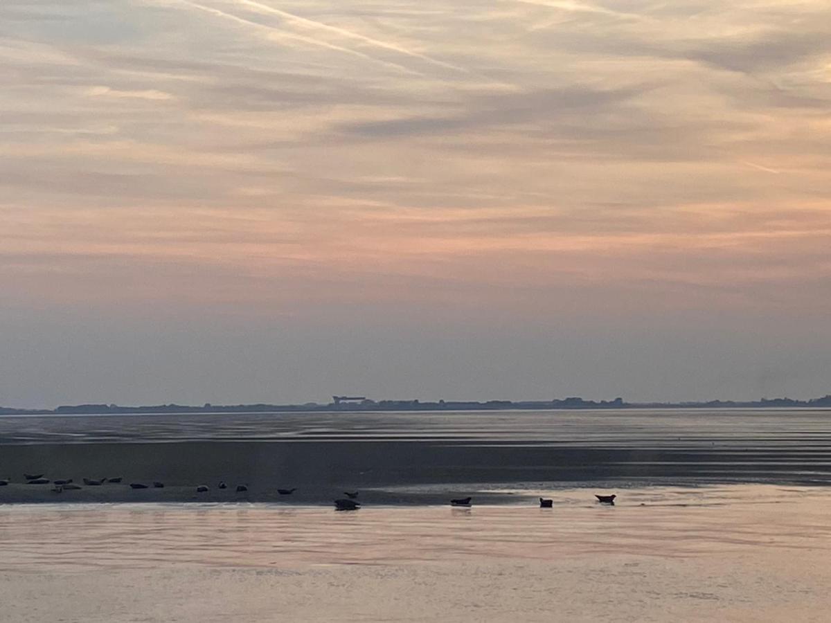 Bungalow Scheldezicht In Zeeland Dicht Bij Zee Scherpenisse Extérieur photo
