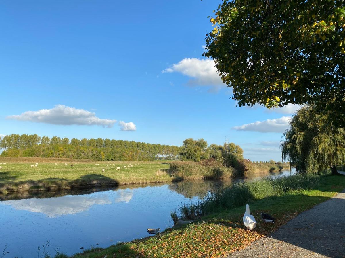 Bungalow Scheldezicht In Zeeland Dicht Bij Zee Scherpenisse Extérieur photo